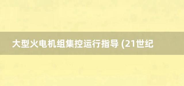 大型火电机组集控运行指导 (21世纪高等学校规划教材)